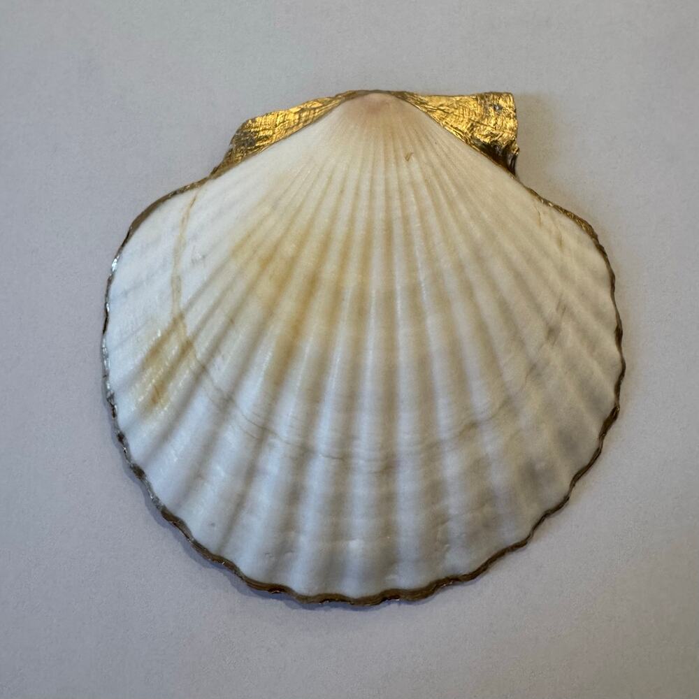 Pink Tulip Seashell Trinket Jewelry Dish - Picture 4 of 4